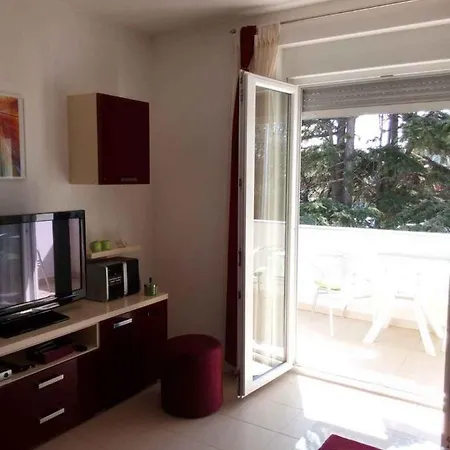 Apartment Apartment In Fazana/Istrien 8416
