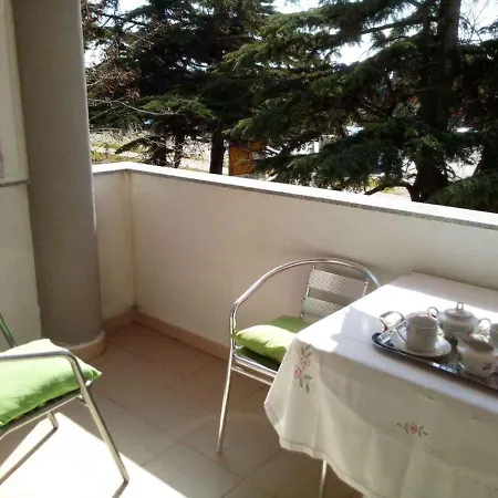 Apartment In Fazana/Istrien 8416 Apartment *